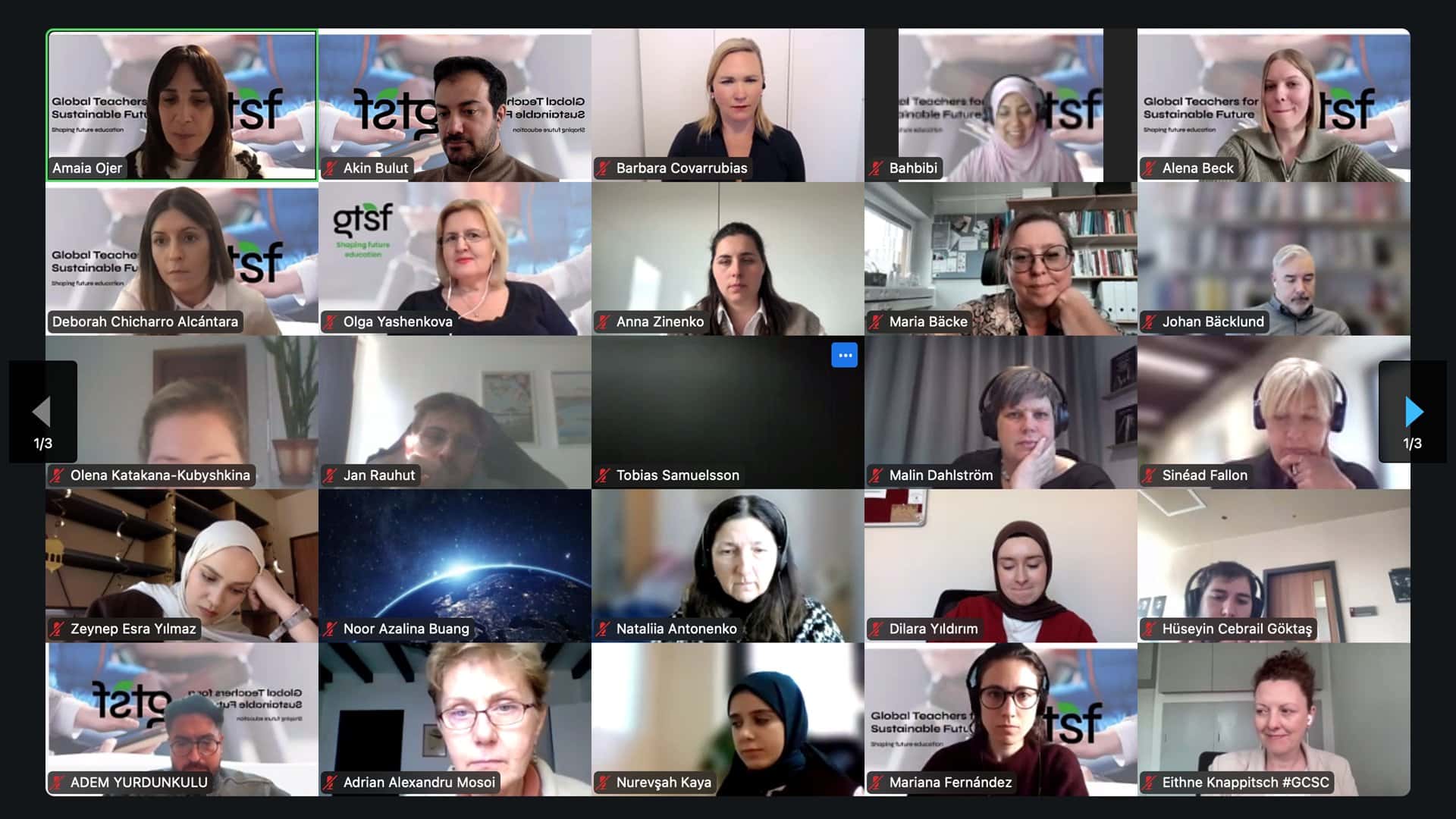 School of Education Graduates Join the Global Teachers for a Sustainable Future (COIL) Program
